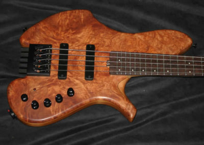 0257 Salace E Type Headless 5