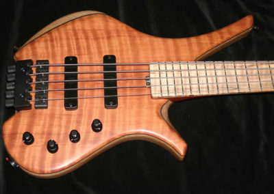 0214 Salace Headless 5