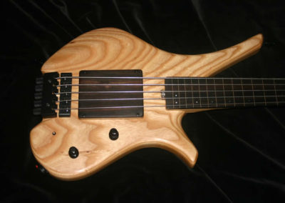 0171 Salace Headless 5