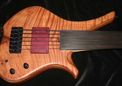 0183 Salace Chambered Fretless 6