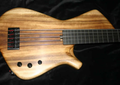 0047 Skelf SC Chambered Fretless 5
