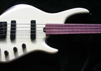 0122 Finn Fretless 4
