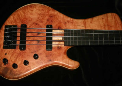 0125 Finn SC Classic Fretless 5