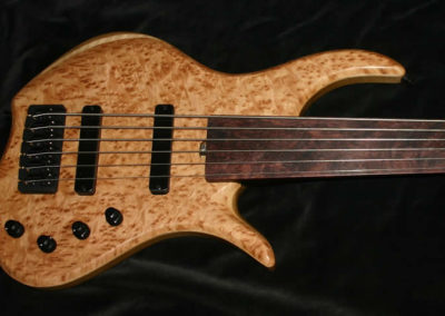0165 Krell Fretless 6