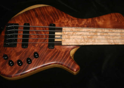 0172 Finn R Type Fretless 5