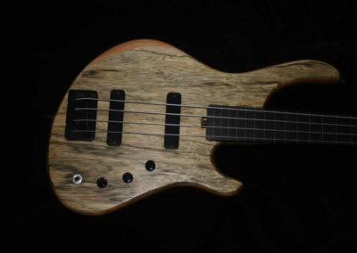 G0021 Finn Fretless 4