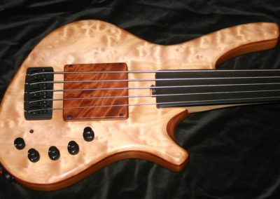 0173 Recurve Fretless 5