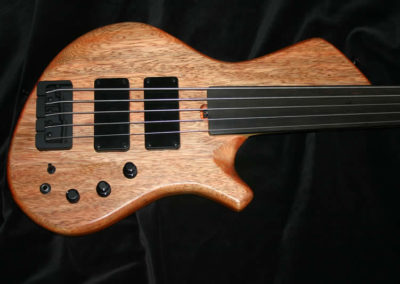 0189SS Recurve S Type Fretless 5