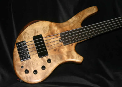 067 Recurve Fretless 5.
