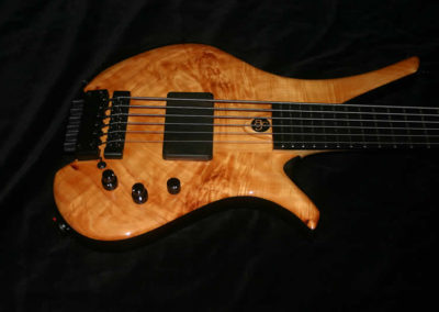 094 Salace Headless 6