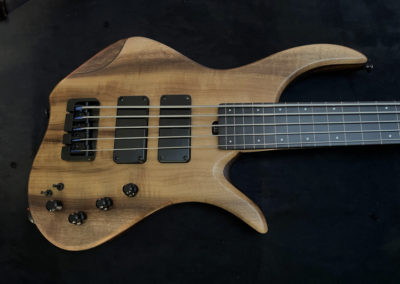 0468  Krell 5 Fretless